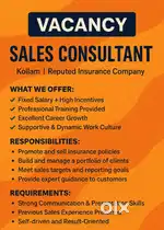 Sales consultant
