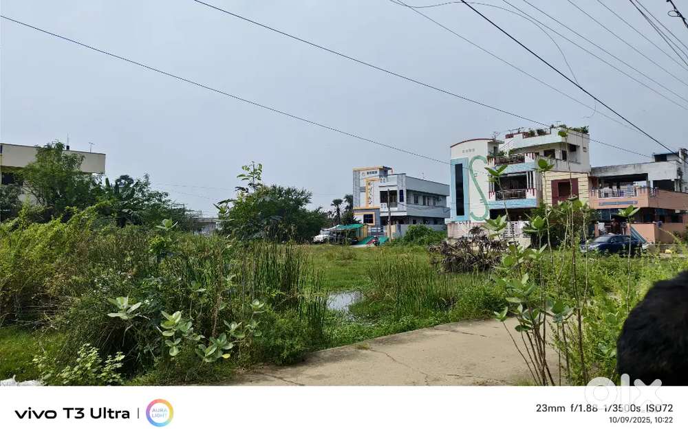Plot For Sale At N T R Colony Eluru