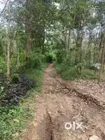 Land for sale near Olippara Nemmara