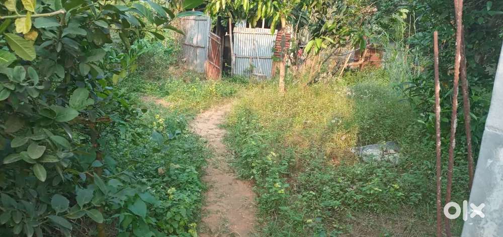 10 Gonda jaiga bikroy korbo Jogendranagar Agartalay 20 crore Kani kore