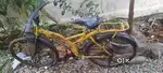 Cycle old model
