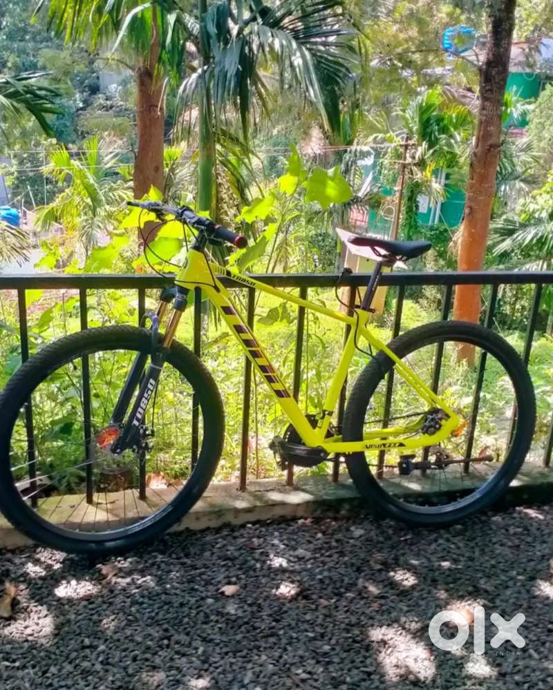 Todd TD 850 MTB bike