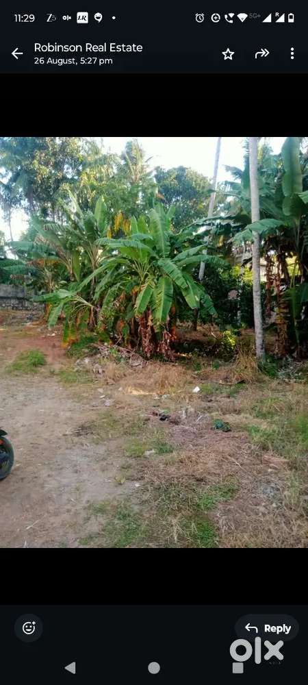 6.5 cent land for sale Edapazhanji. 150 m from main road