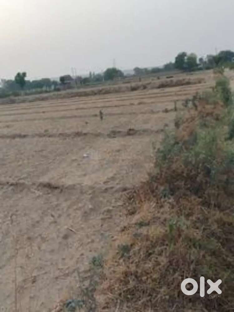 Plot available in mariani Noughoriya (M..E.S bagan) at best price
