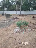 Land sale patta, kiraiyapathiram, mother documents available