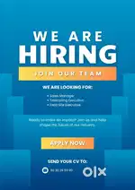 Sales Manager
