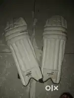 Cricket items for 10-14 years old boys and girls