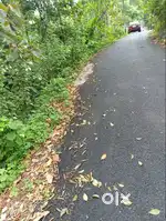 10 Cent land in road frontage