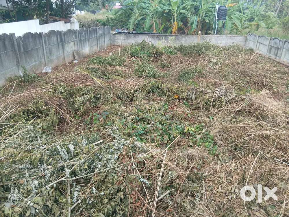 Plot for sale at Kalathode, Thrissur