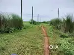 1 km distance from plot will plan 200 ft ring road,Gharabari plot