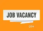 Urgenltly Need full time female/Male cook