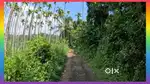 1.5 Acre Land Suitable for Resort