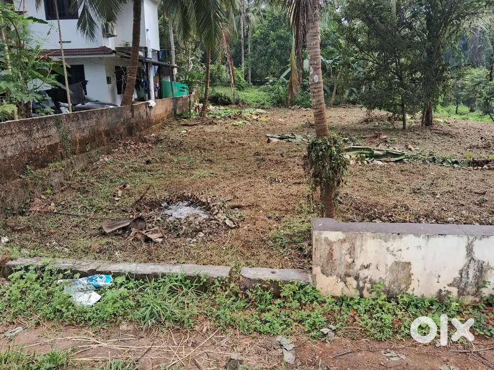 പുത്തനത്താണി - തിരുനാവായ റോഡിൽ ചന്ദനക്കാവിന് സമീപം 6, 8 സെന്റ്