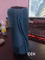 Boat spinx speaker