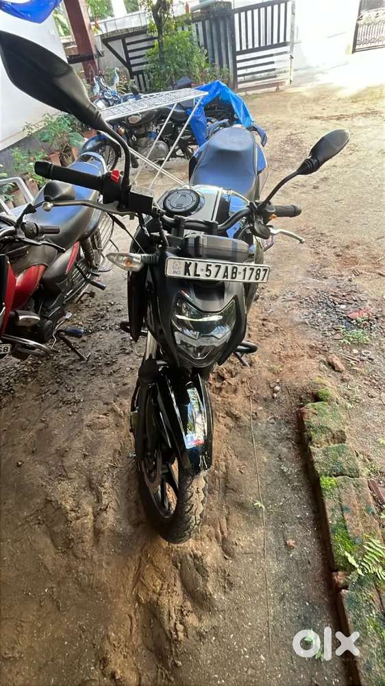 Apache RTR 2024 model