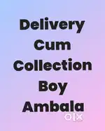 Delivery Collection