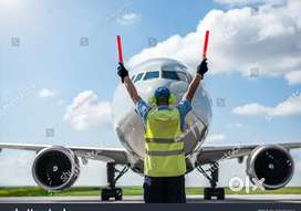 Jobs in indigo Airlines urgent hiring apply fast