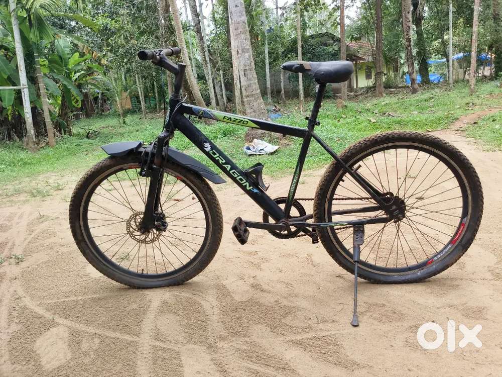 Fazzo dragon (mud riding cycle)