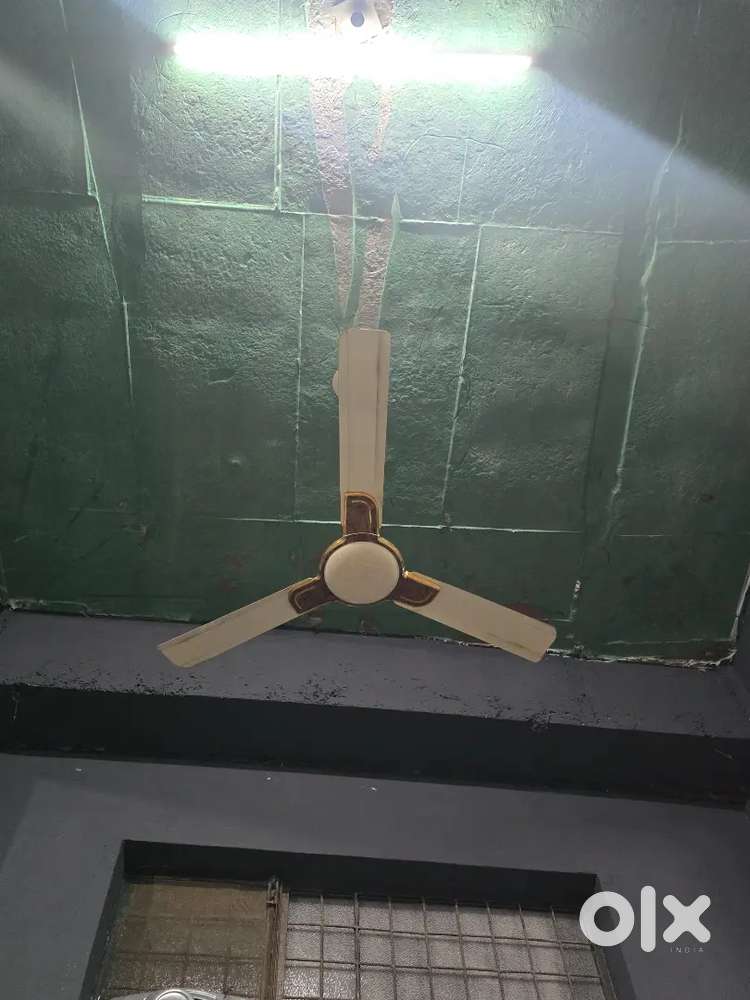 Copper Selliang fan