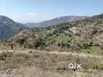 Best of Hotel Resort Cafe Parpuse Plots on State Highway.