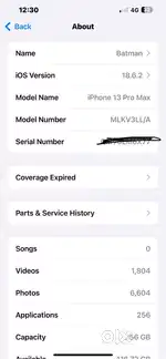 Iphone 13 pro max 256 GB with box, charger and cable
