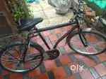 AXN DX CYCLE