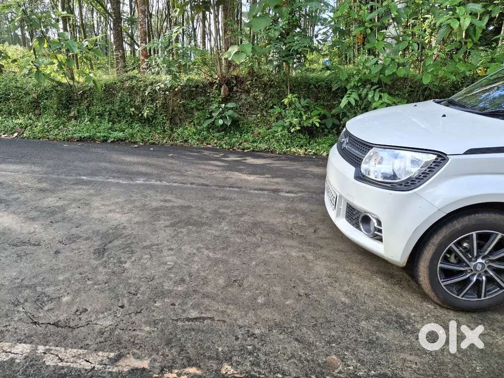 തൊടുപുഴ മുവാറ്റുപുഴ റൂട്ടിൽ 20 cent  plot.