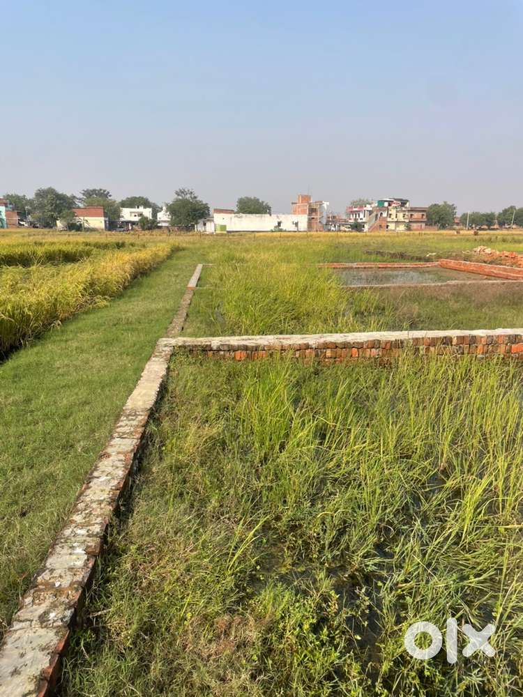 Bank lone ke sath plot book kare ghazipur road sandaha me pahle kabja