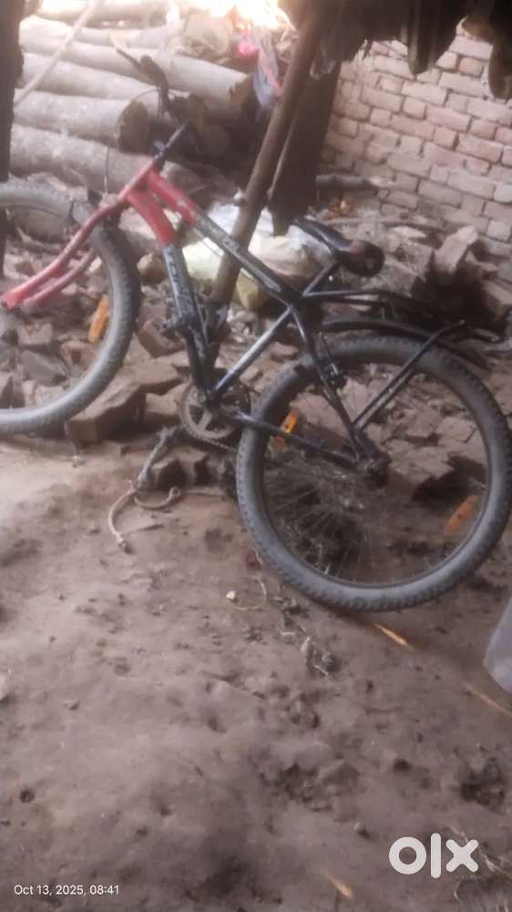 Caical red and black colour for 1 years old