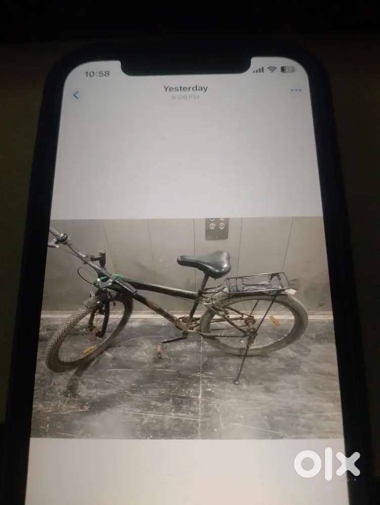 Adult cycle with carrier
