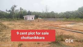 Chottanikkara temple near global school area plot for sale