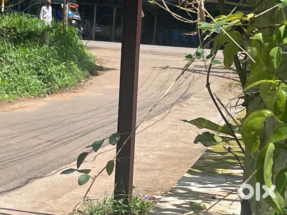 13cent plot with a house