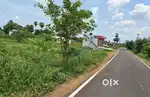 My own land, located near vedal