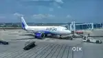 Freshers Female Condidate IndiGo Airlines