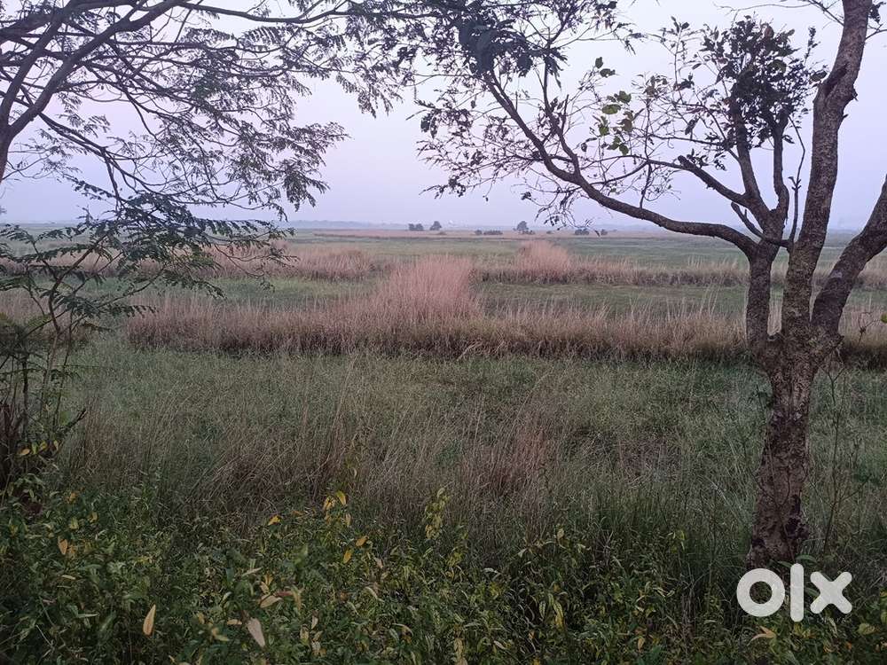 White ars infrastructure