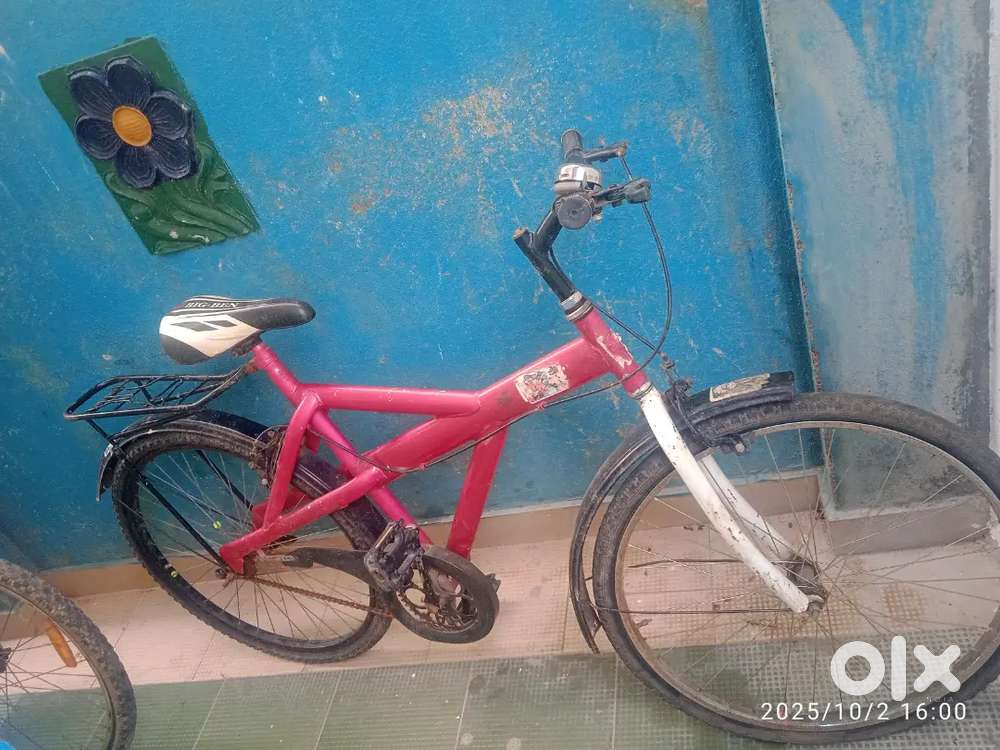 Boys cycle