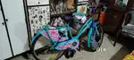 Leader breez with basket women bycycle