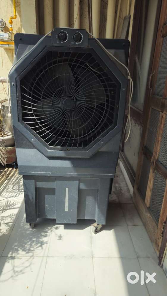 Thar investors coolar