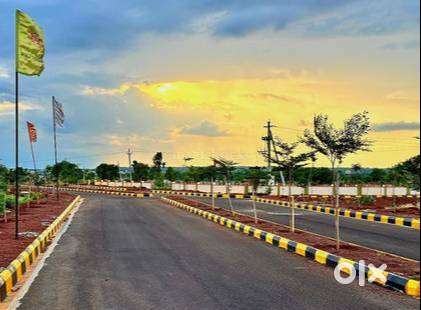 BIAAPA plots for immediate registration