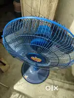 Raj fan Stand Fan