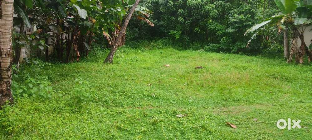 Near Kadampattukonam, Parippally, kollam - 30 cent plot