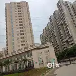FOR RENT:- 2 bhk flat Available