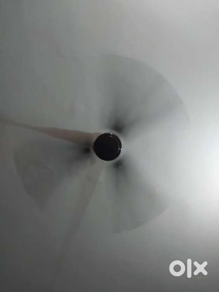 Qty - 8  Ceiling fan (3 wings) in working condition