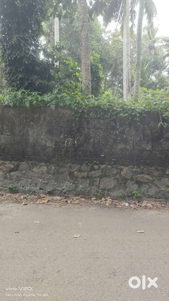 Plot for sale karumom punchakkiri