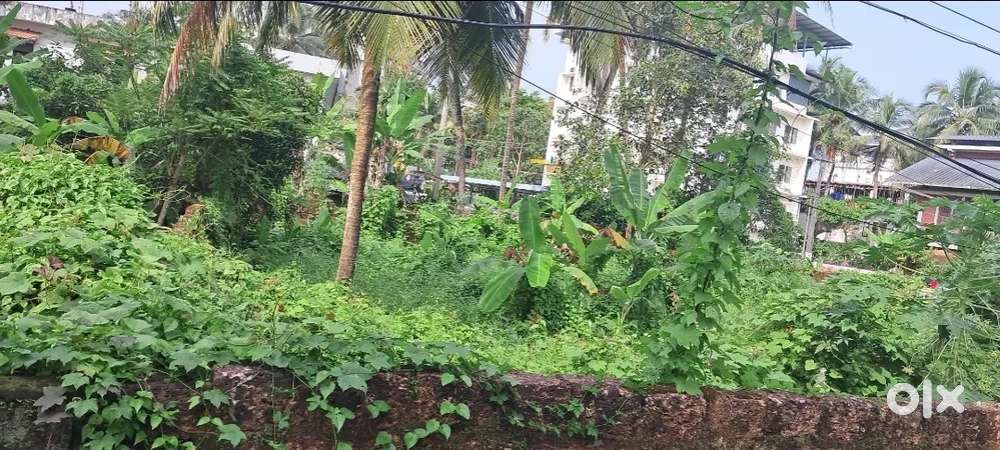 Commercial land . Good for service apartment