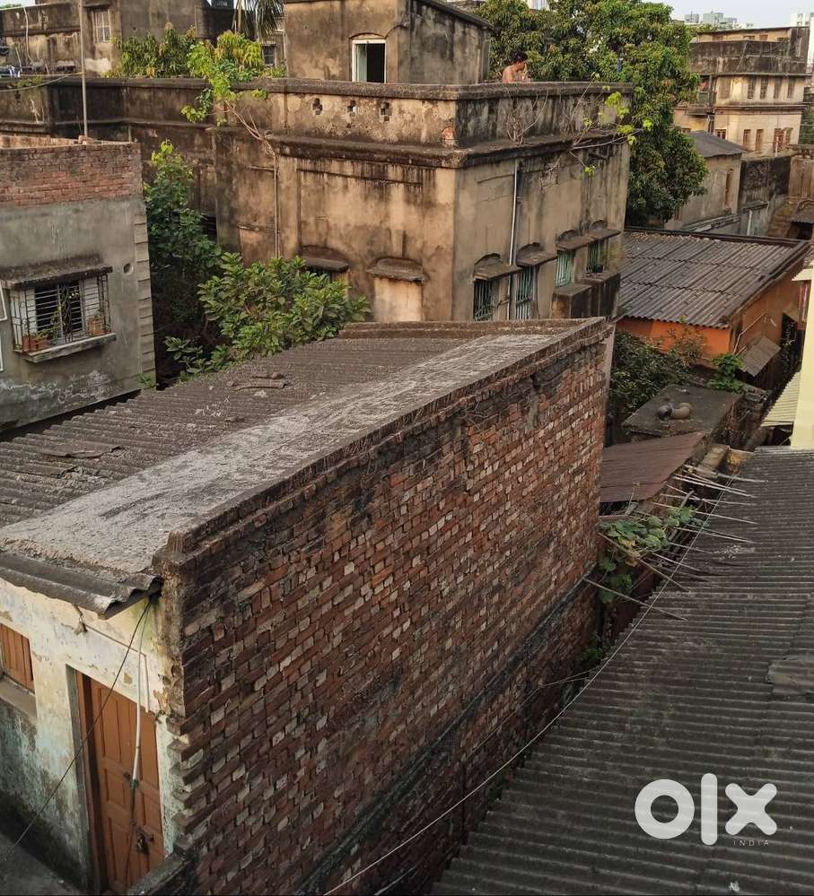 covered factory shade.