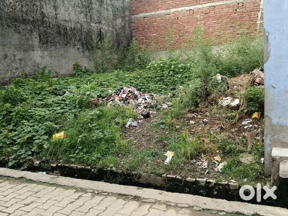 Shiv colony Lmp, Advocate pankaj bajpai wali gali me