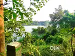 14 cent waterfront land for sale in kanjoor parappuram,airport,aluva