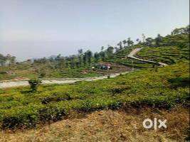 Kotagiri land for sale in Nilgiris