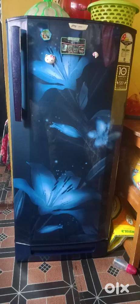 Fridge ,sofa,bike